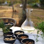piknik-u-masliniku-istra-dblog-lesnina (10)