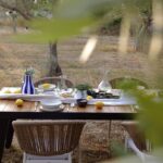 piknik-u-masliniku-istra-dblog-lesnina (12)