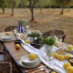 piknik-u-masliniku-istra-dblog-lesnina (13)