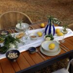 piknik-u-masliniku-istra-dblog-lesnina (14)