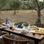 piknik-u-masliniku-istra-dblog-lesnina (15)