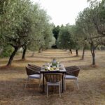piknik-u-masliniku-istra-dblog-lesnina (19)