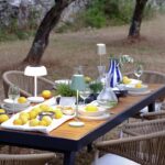 piknik-u-masliniku-istra-dblog-lesnina (4)