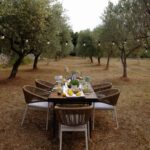 piknik-u-masliniku-istra-dblog-lesnina (7)