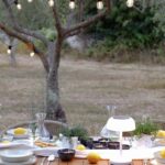 vecera-u-masliniku-istra-dblog-lesnina (7)